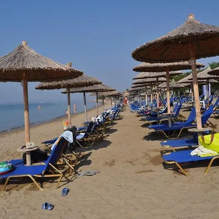 Melissa Gold Coast プサコウディア