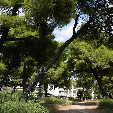 Hotel Melissa Gold Coast