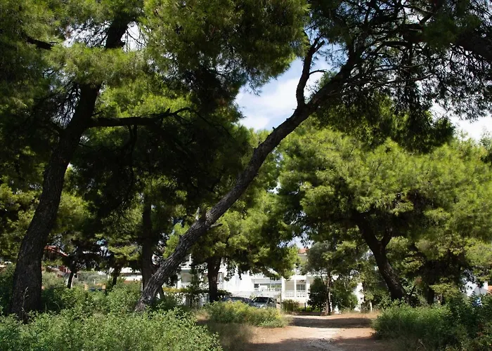 Hotel Melissa Gold Coast