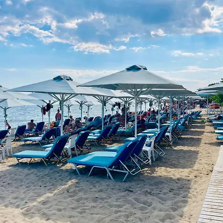 Melissa Gold Coast 2*