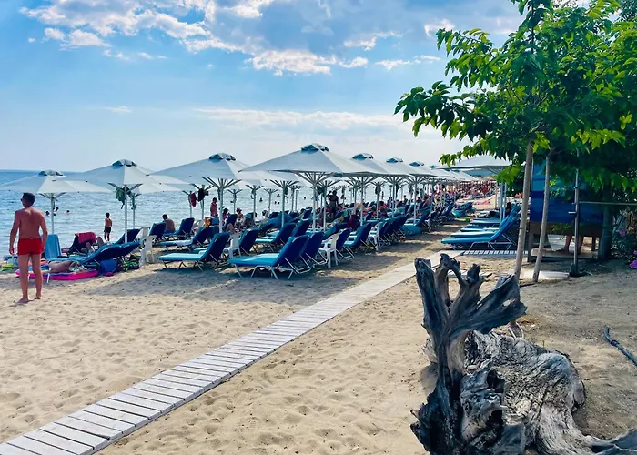 酒店 Melissa Gold Coast 2*