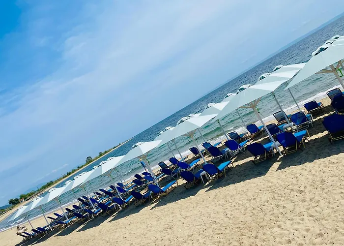 酒店 Melissa Gold Coast 普萨克迪亚